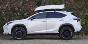 Lexus NX300h
